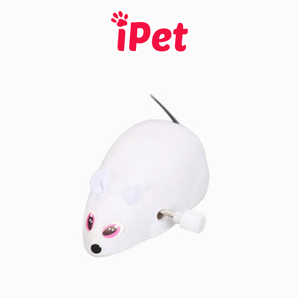 Chuột lên dây cót đồ chơi cho mèo thú cưng nhỏ - ipet shop