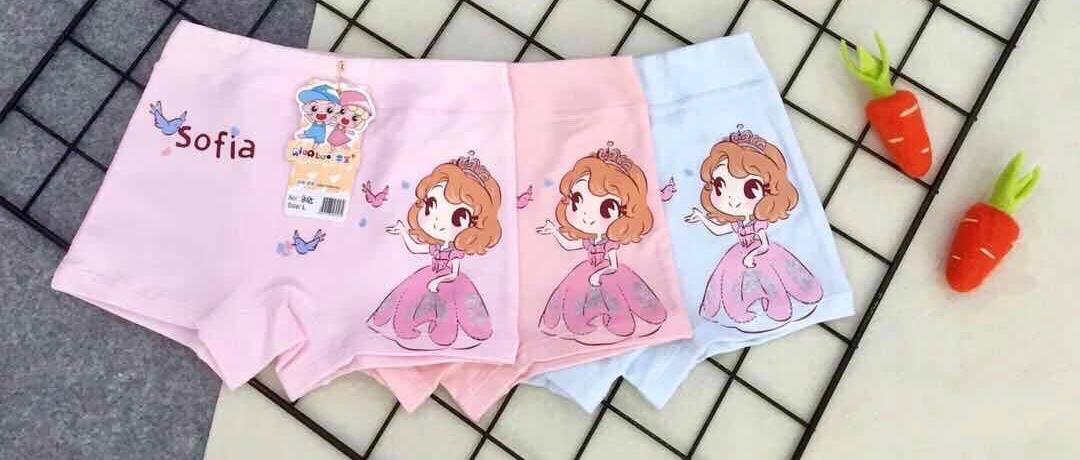 Combo 5 Quần Lót Bé Gái Họa Tiết Công Chúa Sophia 8085 – Cotton Hữu Cơ, Mềm Mại, Thoáng Khí