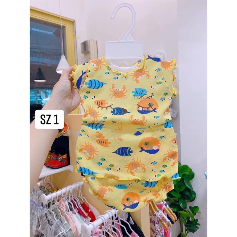 [HCM]Đồ Bộ Cho Bé Gái (4-13Kg Ib Lựa Mẫu)