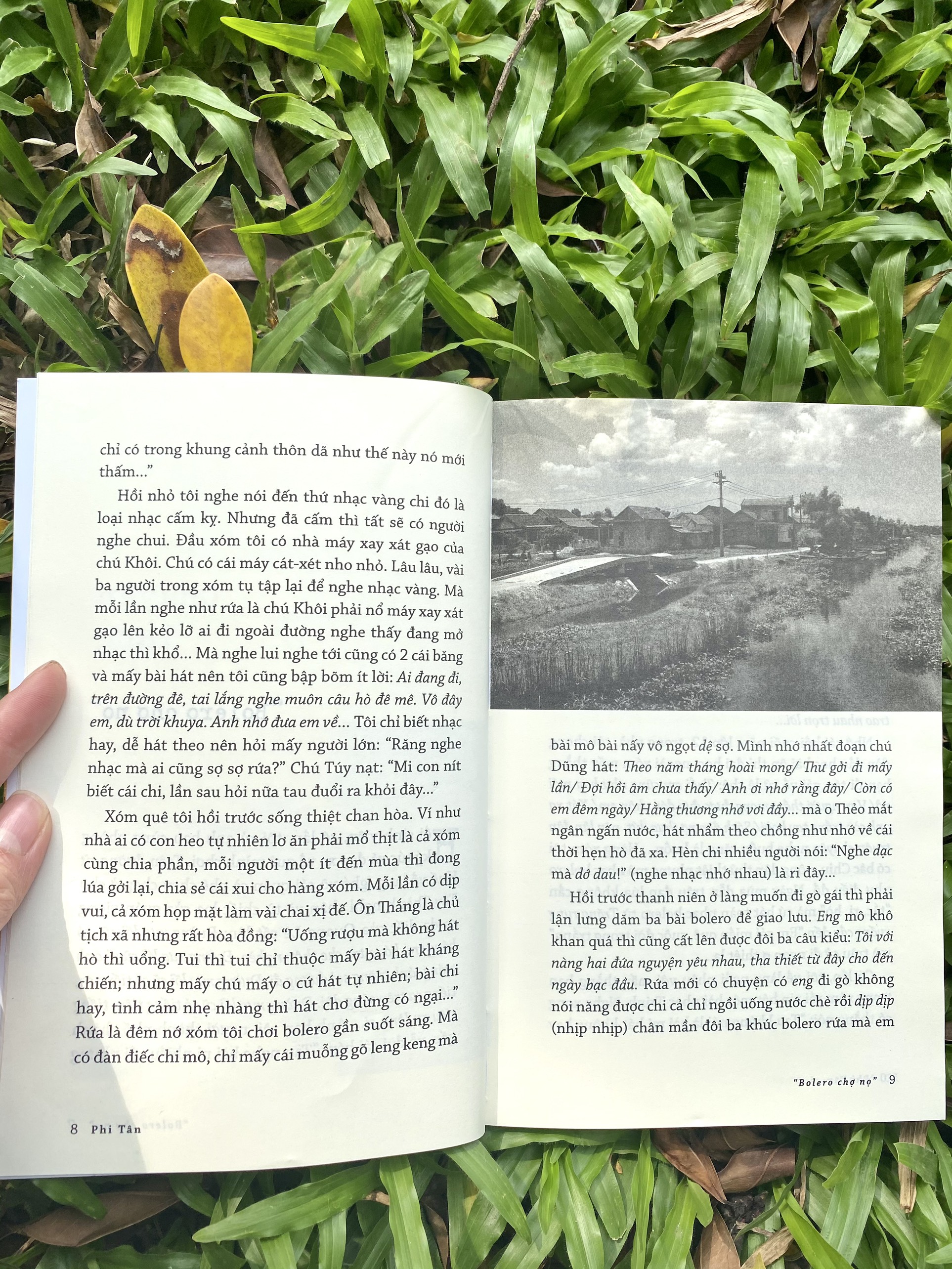 Ngoại Ô Thương Nhớ