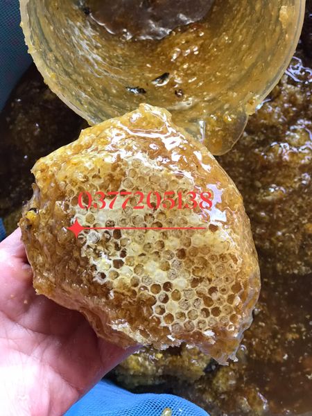 Mật ong rừng nguyên chất ong đá.....