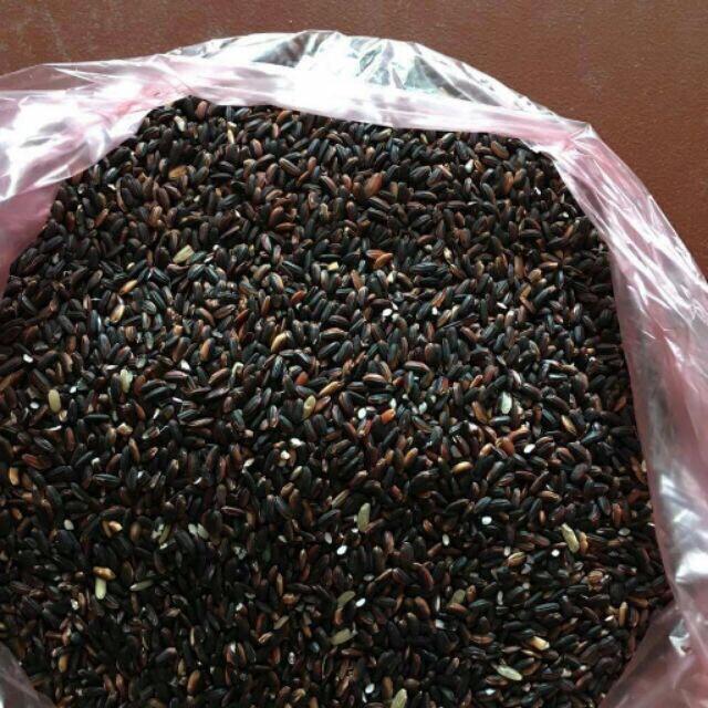 Gạo Nếp Cẩm Điện Biên 5kg