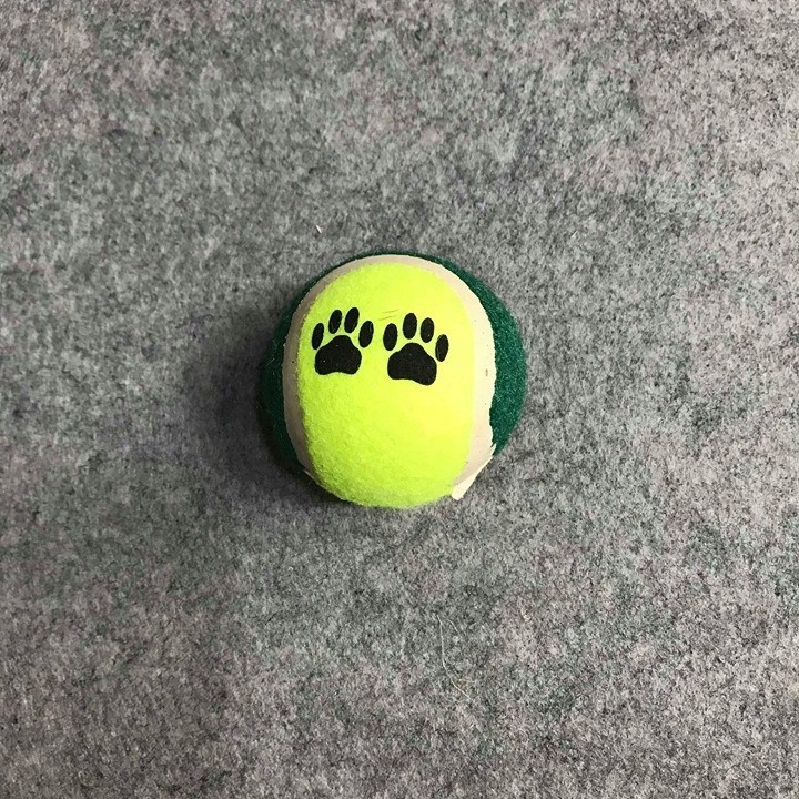 Đồ Chơi Cho Chó - Bóng Tenis