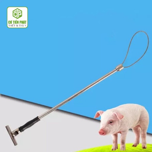 Gậy khoá mõm heo, khớp mõm lợn, gậy bắt chó