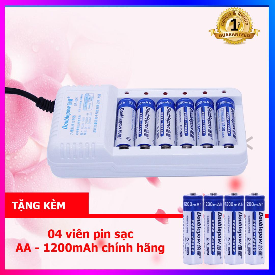 Combo bộ Sạc pin AA/AAA 6 cổng DoublePow DP-B06 và 04 viên pin sạc AA 1200mAh cùng hãng