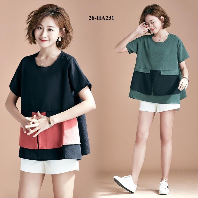 ha231- Áo thiết kế phối màu cá tính