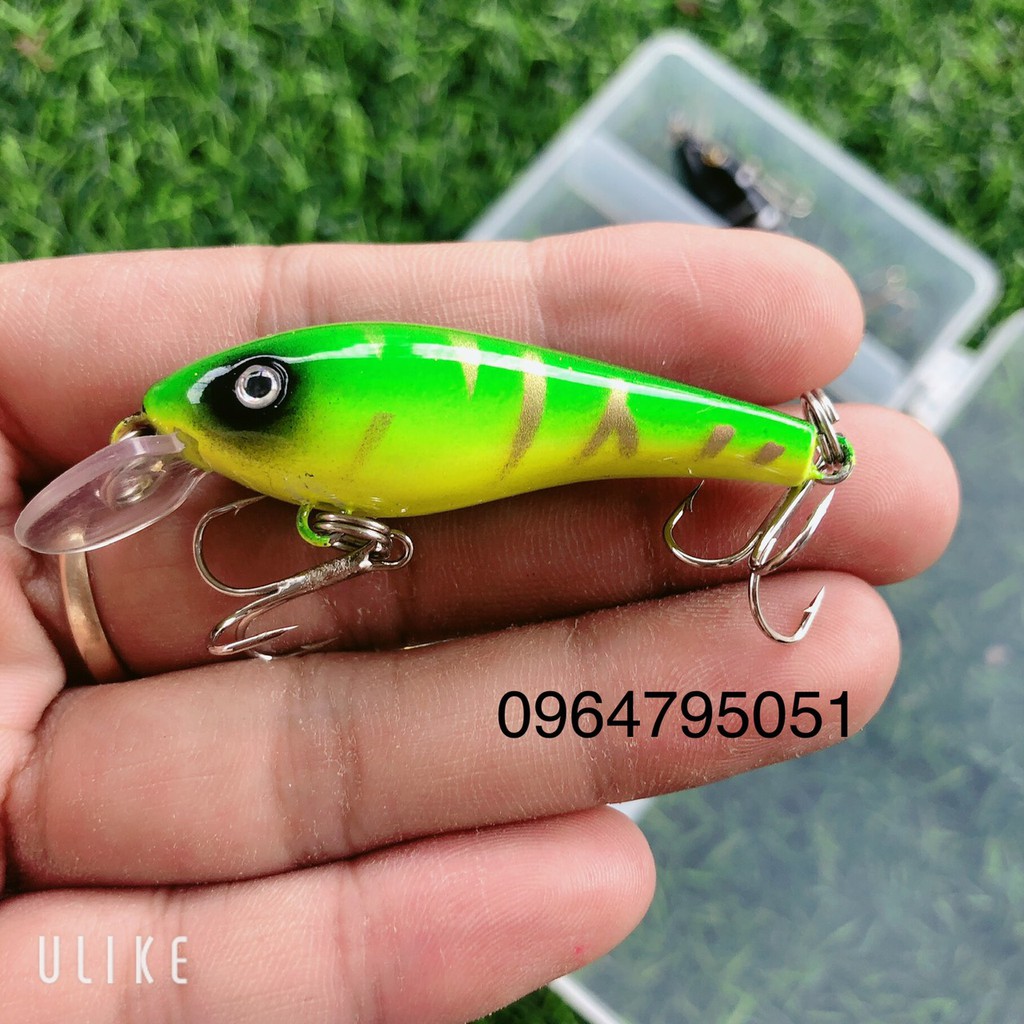 hộp mồi câu lure giả 5 con cá  (cam kết đổi trả trong 2 tuần đầu)