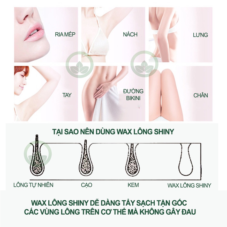 Combo sáp wax lông nhân sâm và mỡ trăn nguyên chất 10ml