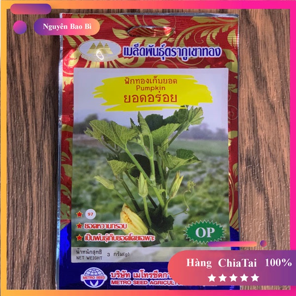 Hạt giống bí siêu ngọn năng suất nhập khẩu thái lan nguyên bao bì