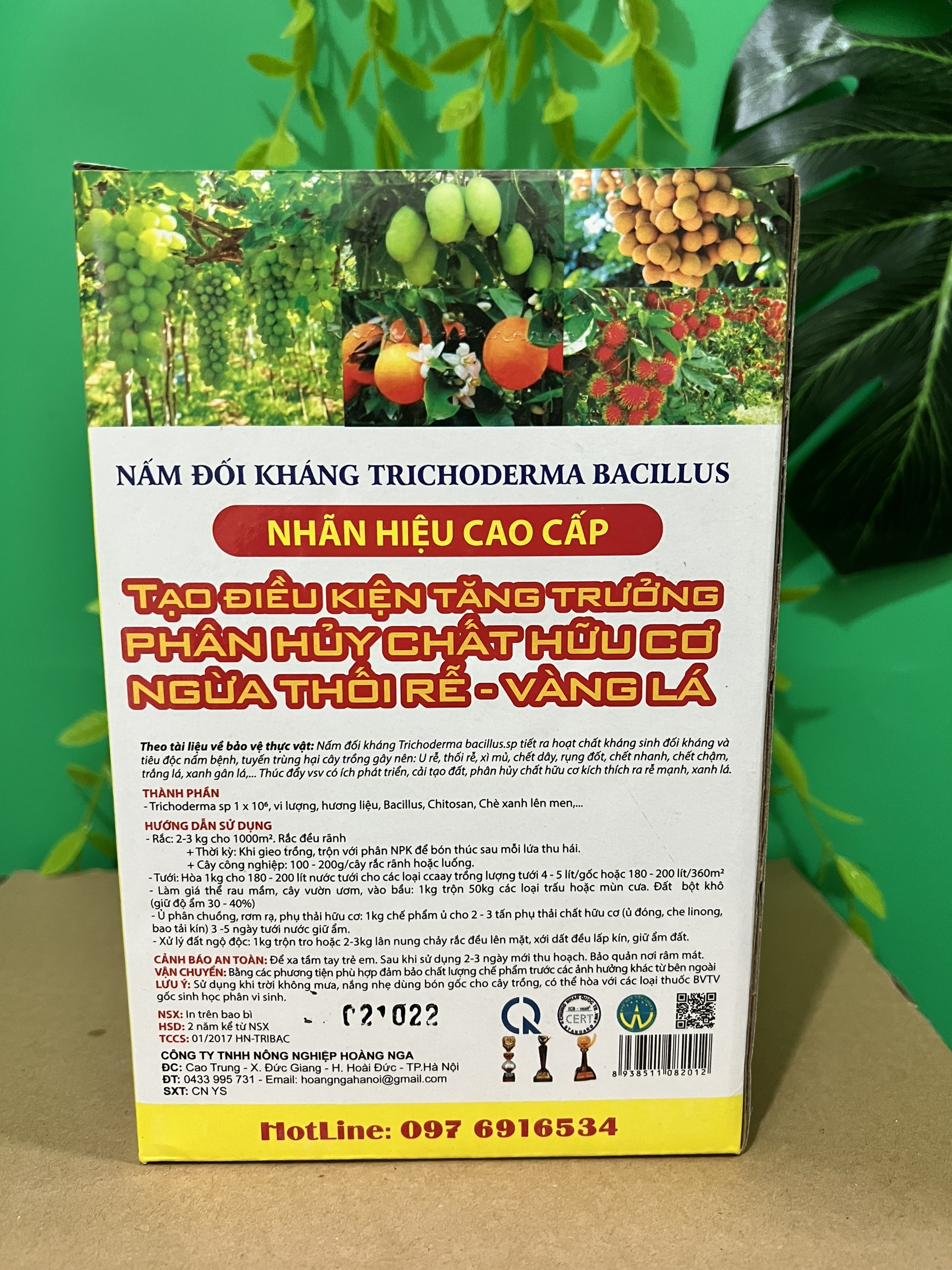 Nấm Trichoderma Bacillus dạng bột, nước, nấm đối kháng Tricoderma dùng ủ phân bón, rác thải nhà bếp