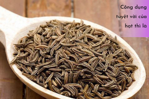 Hạt Thì Là