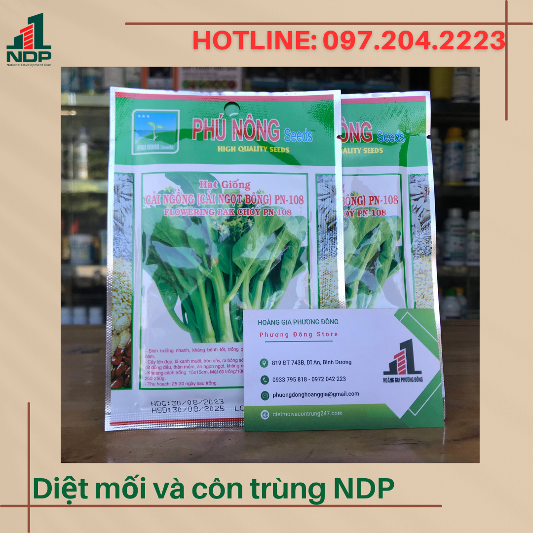 Hạt giống cải ngọt ăn bông tăng trưởng tốt nảy mầm cao - gói 20g, gói 50g