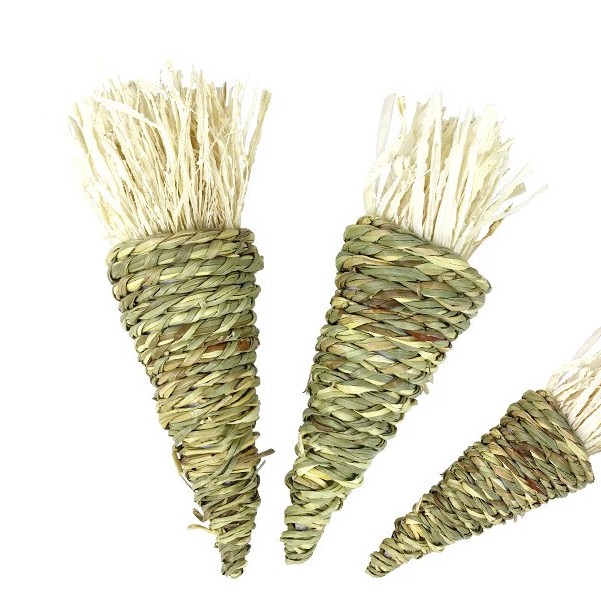 Đồ chơi gặm nhắm cà rốt cho Thỏ, Bọ, Chinchilla