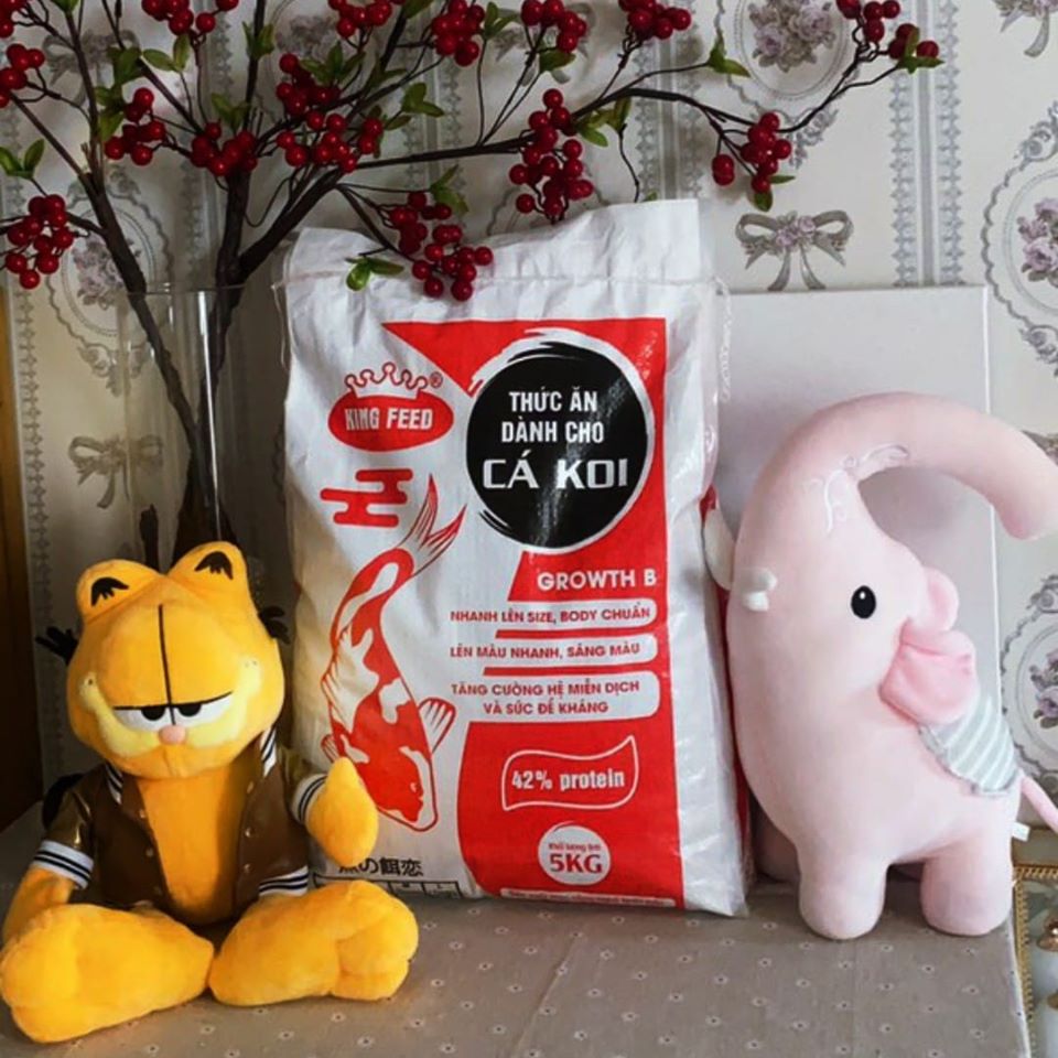 Cám cá Koi King Feed (42%Đạm, hạt 5ly hạt trung),cá vàng, cá cảnh - 5 kg