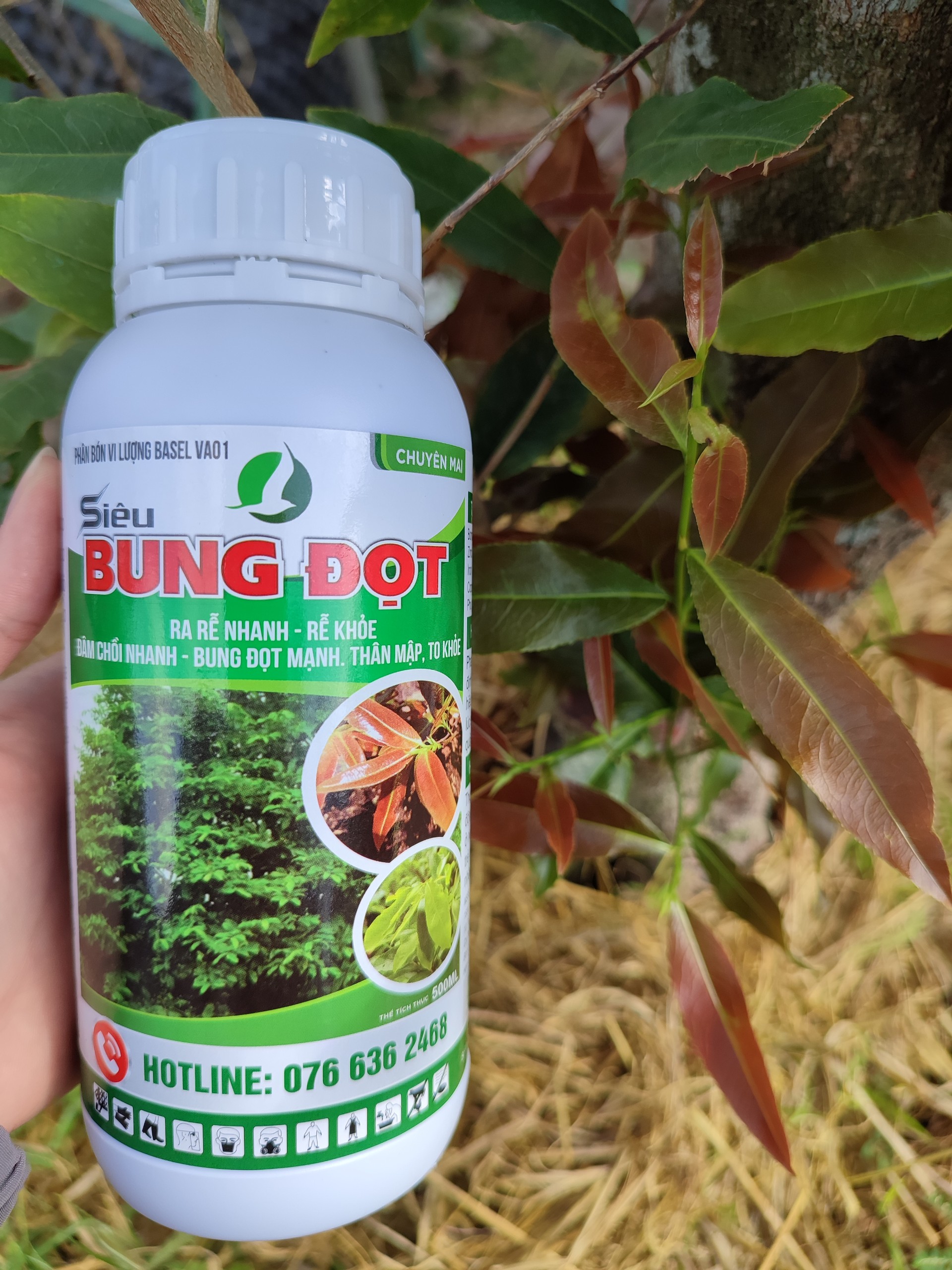 BUNG ĐỌT RA RỄ MAI VÀNG 500ML