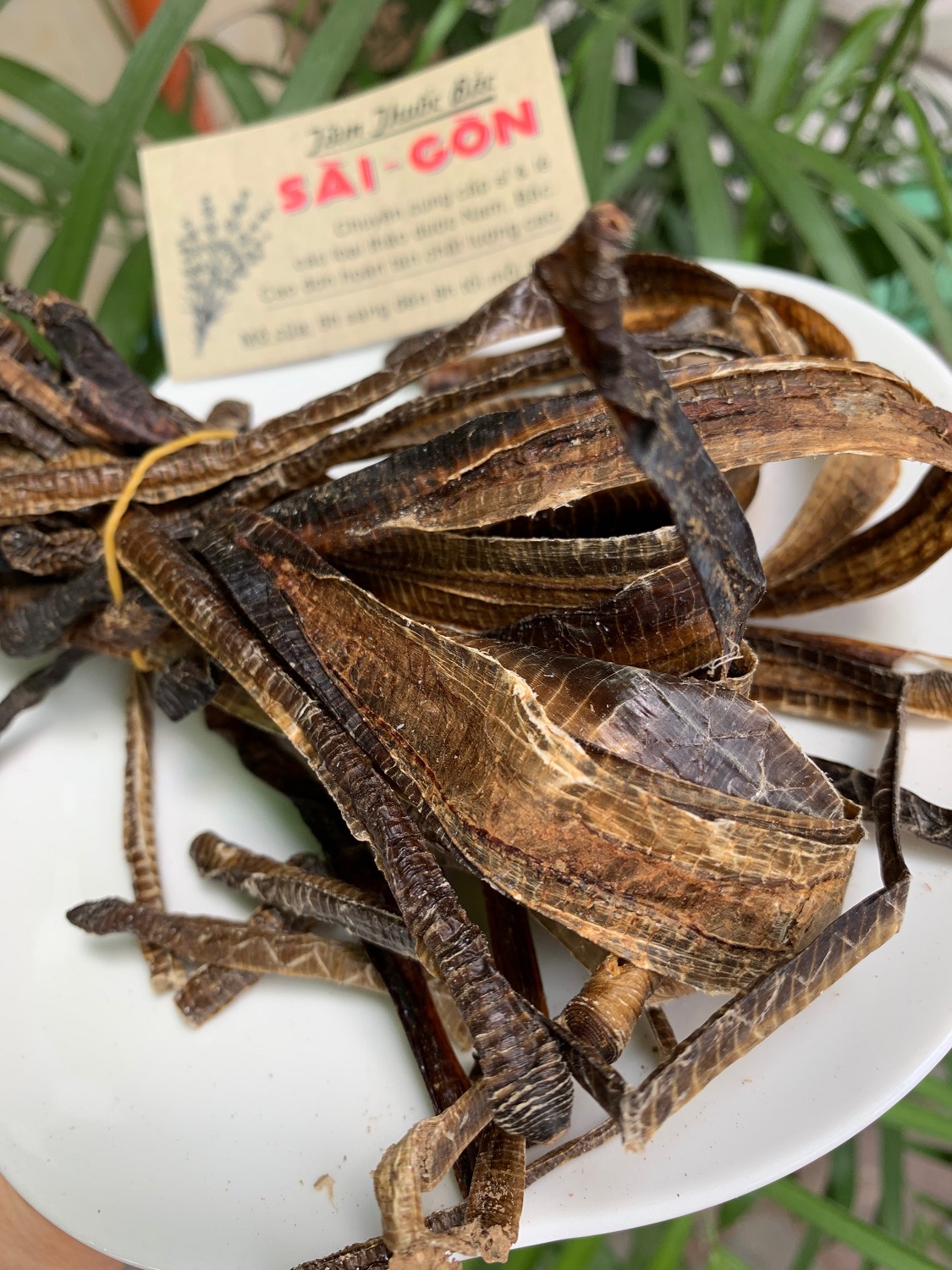 [HCM]Địa Long Khô Sạch Đẹp 100g