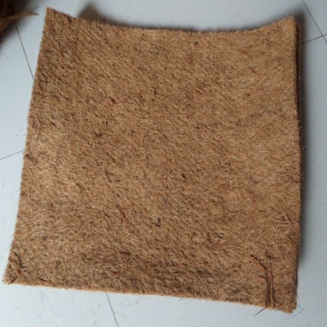 Miếng Sơ Dừa Trồng Lan 50x50cm