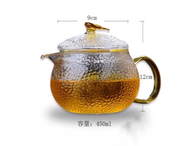 Ấm Thuỷ Tinh Sần Lõi Lọc 450Ml