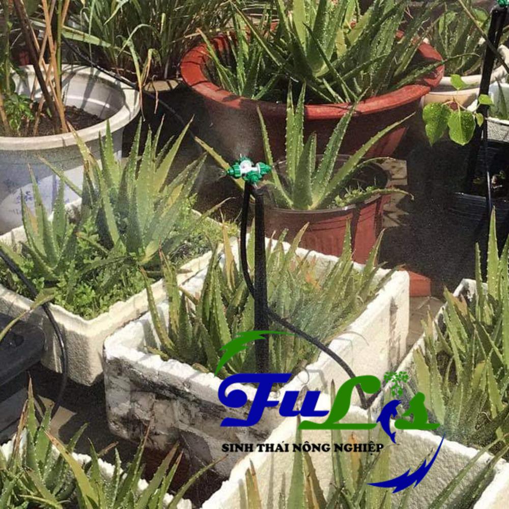Bộ béc phun sương tưới lan tự động