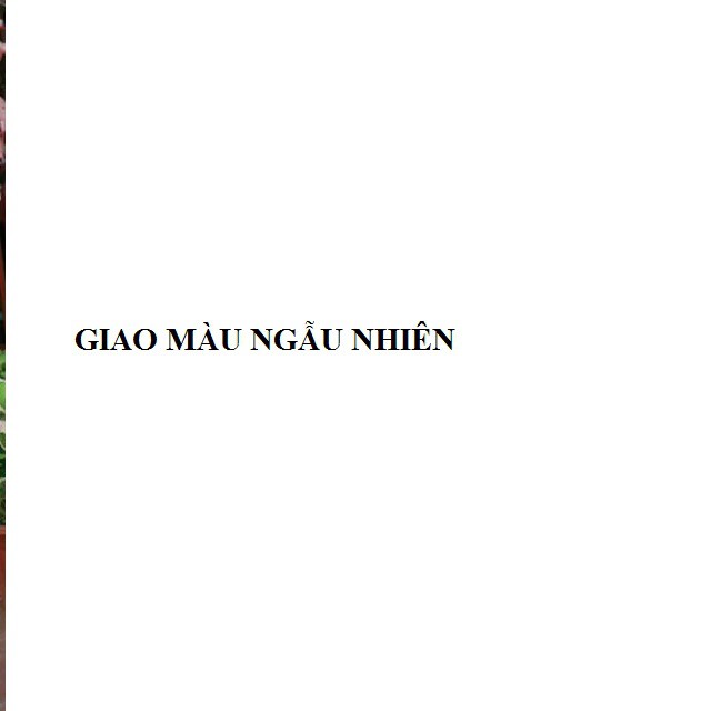 Áo choàng ngủ lụa satin gợi cảm
