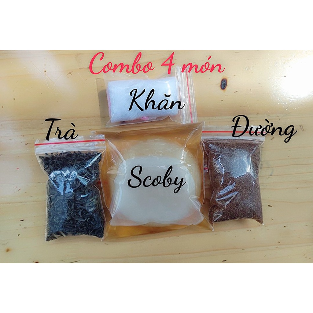 [Mã LIFE121210K giảm 10% đơn 50K] combo 5 món nuôi SCOBY/KOMBUCHA không thể thiếu
