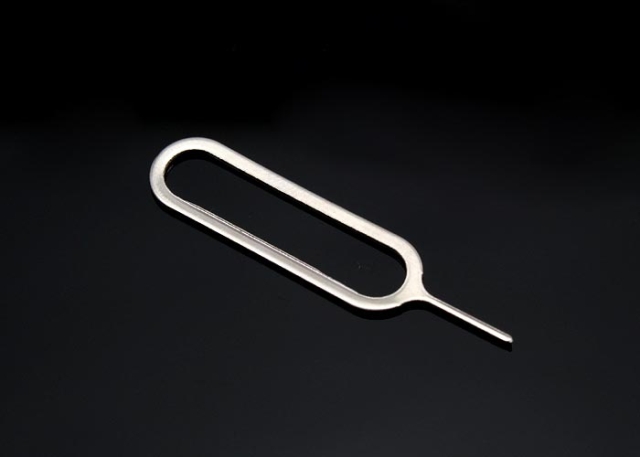 Que chọc sim - Que chọc sim