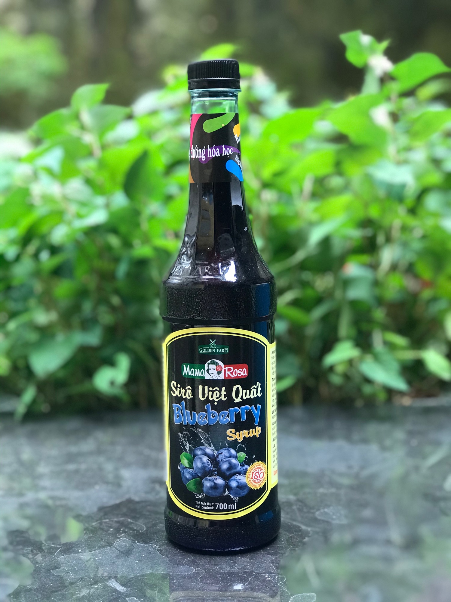 Siro việt quất 700ml