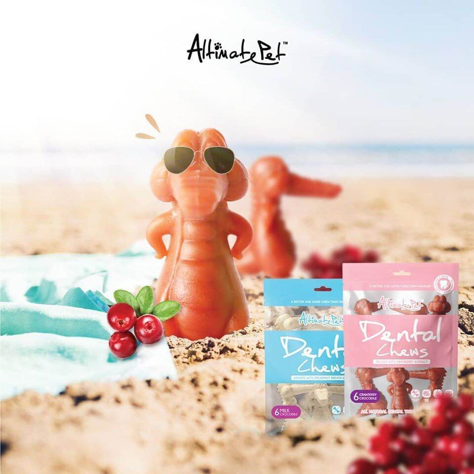 Xương gặm sạch răng altimate pet dental chew 150gr