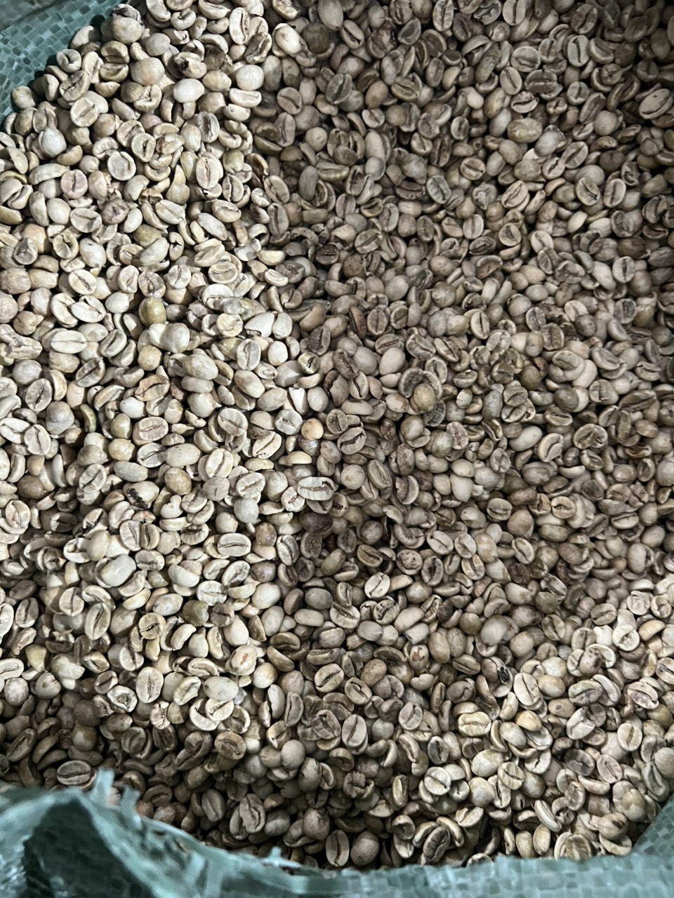 ZeMor Coffee - Cafe hạt rang Arabica Cầu Đất_1kg