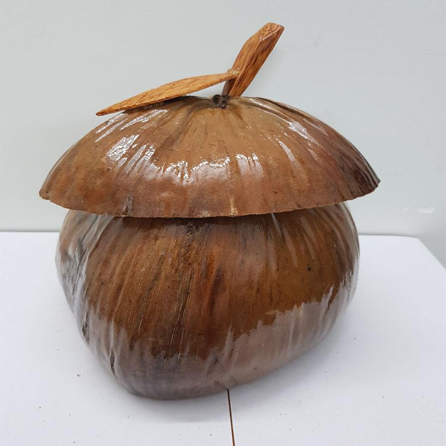 Vỏ đựng bình trà trái dừa ( nắp chiếc lá)