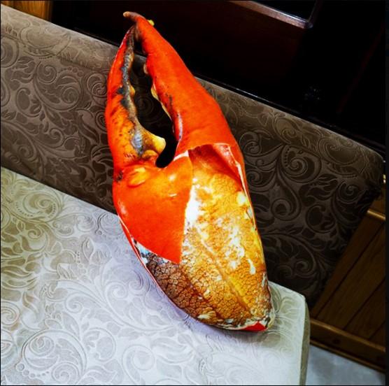 Gấu bông hình càng cua 3d như thật