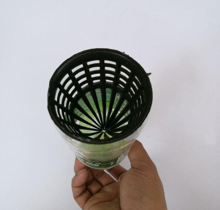 10 Chiếc Hom Lươn Siêu Nhậy