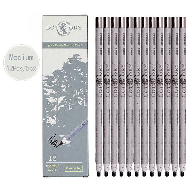 Lotory 12Pcs Pull Line Charcoal Pencil For Drawing Soft/Medium Carbon Sketching Pencils Art Supplies Staionery