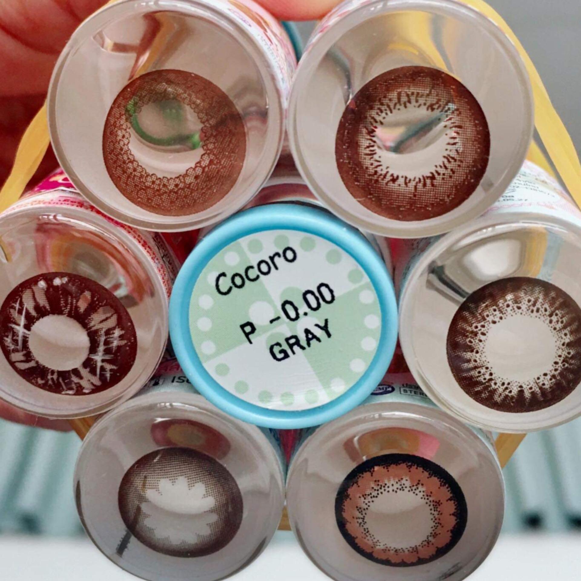 [HCM]Lens màu choco không độ