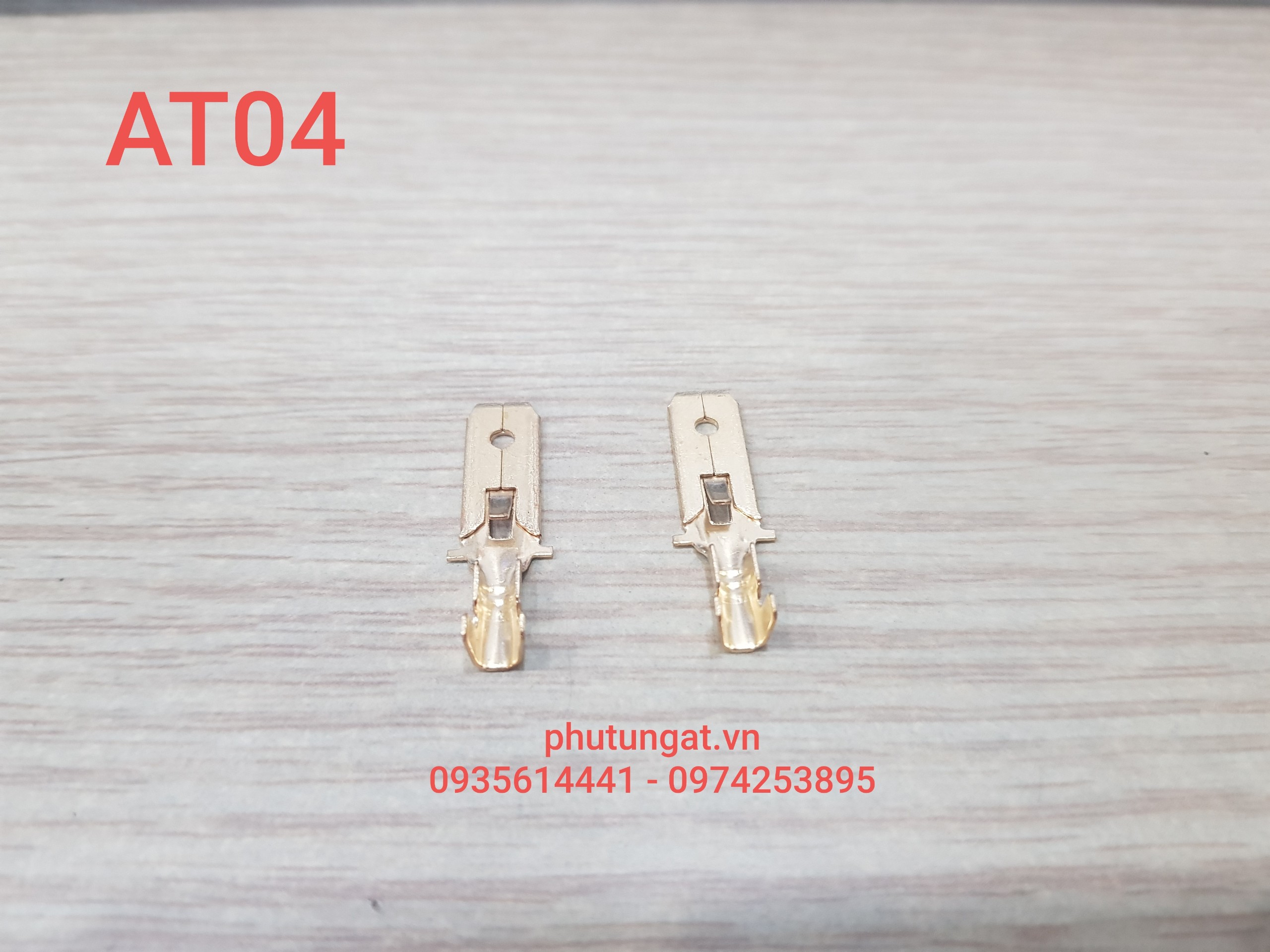 [HCM]Cos Đực Ghim 6.3 - AT04 ( 1 bịch/50 cái)