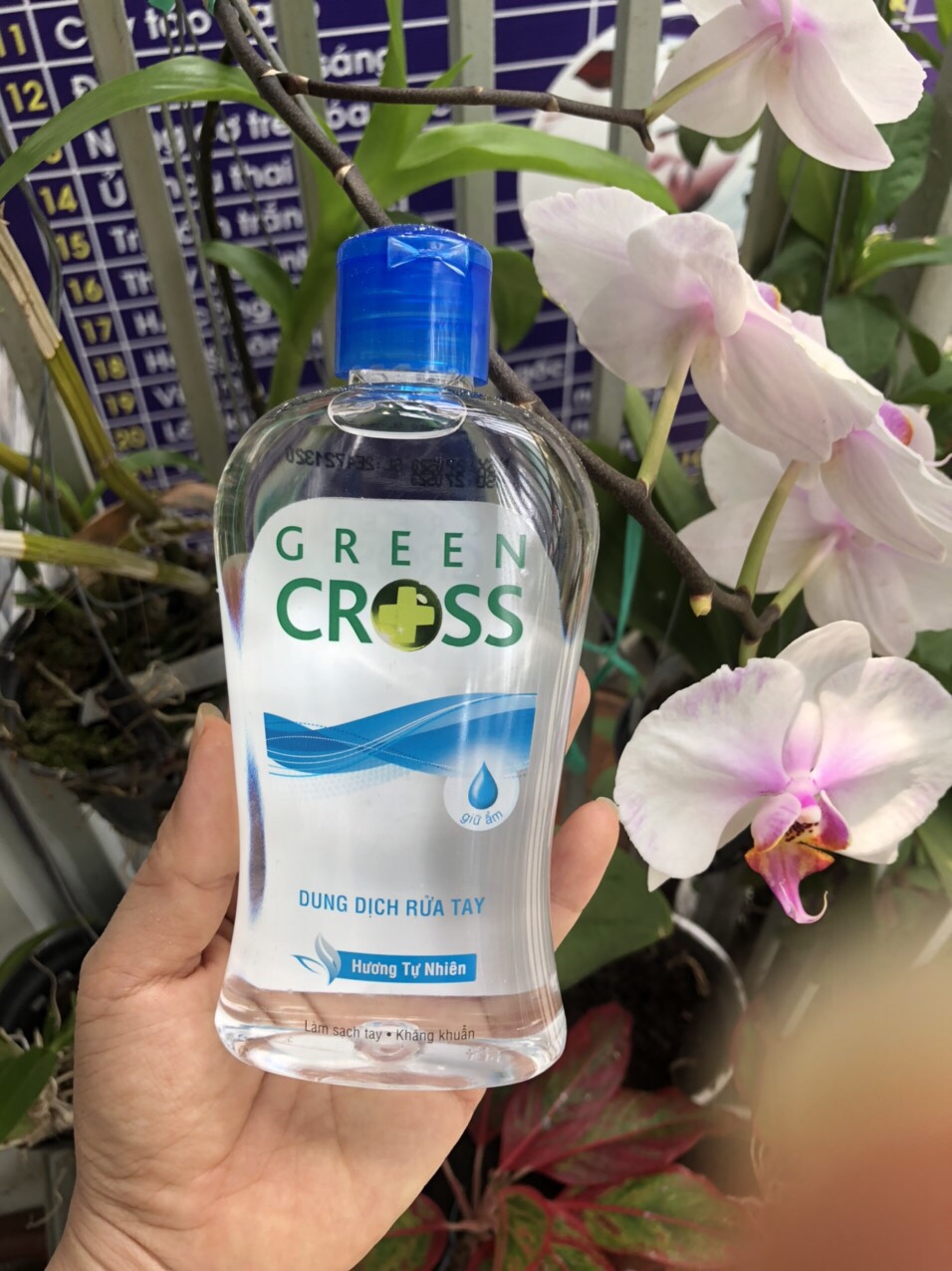 Nước Rửa Tay khô Green Cross hương trà xanh 100ml
