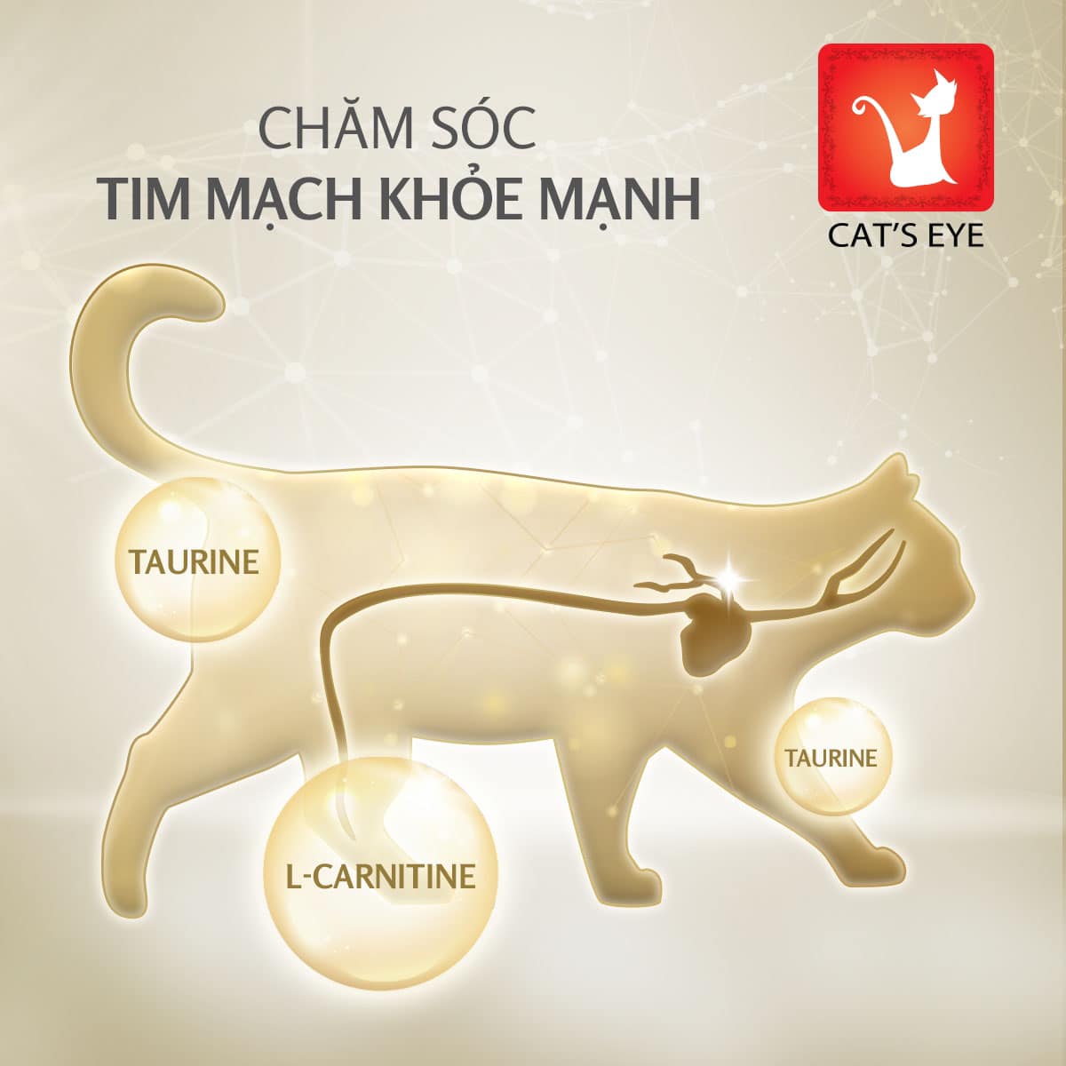 Thức Ăn Hạt Cat's Eye Premium Dành Cho Mèo Mọi Lứa Tuổi