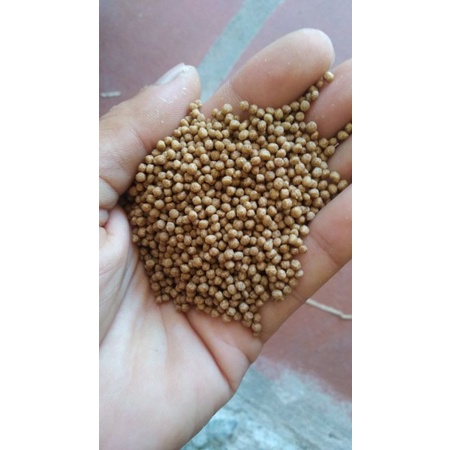 1kg cám cá Koi King feed 42% đạm ( Túi triết 1kg)