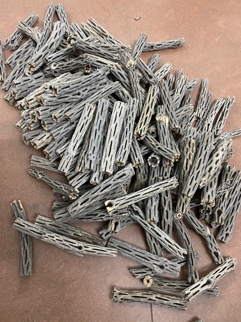 Lũa xương rồng cholla cactus cho tép cảnh - 1 thanh