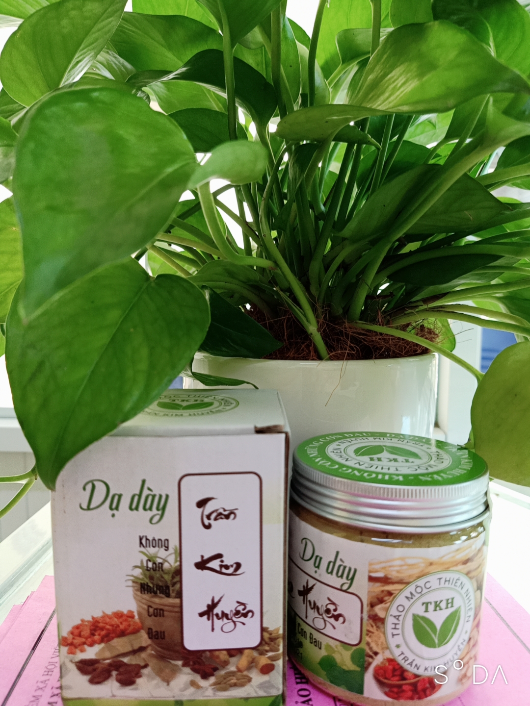 Dạ Dày Trần Kim Huyền