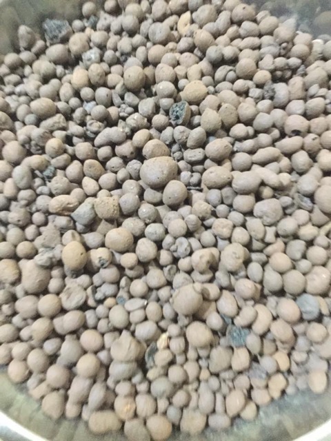 1 KG SỎI NHẸ (ĐẤT NUNG)