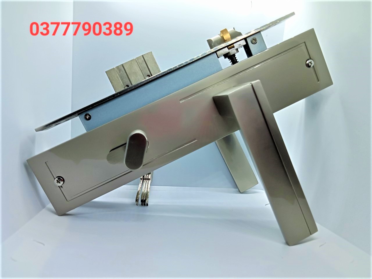 [HCM]khóa cửa tay gạt JEELY
