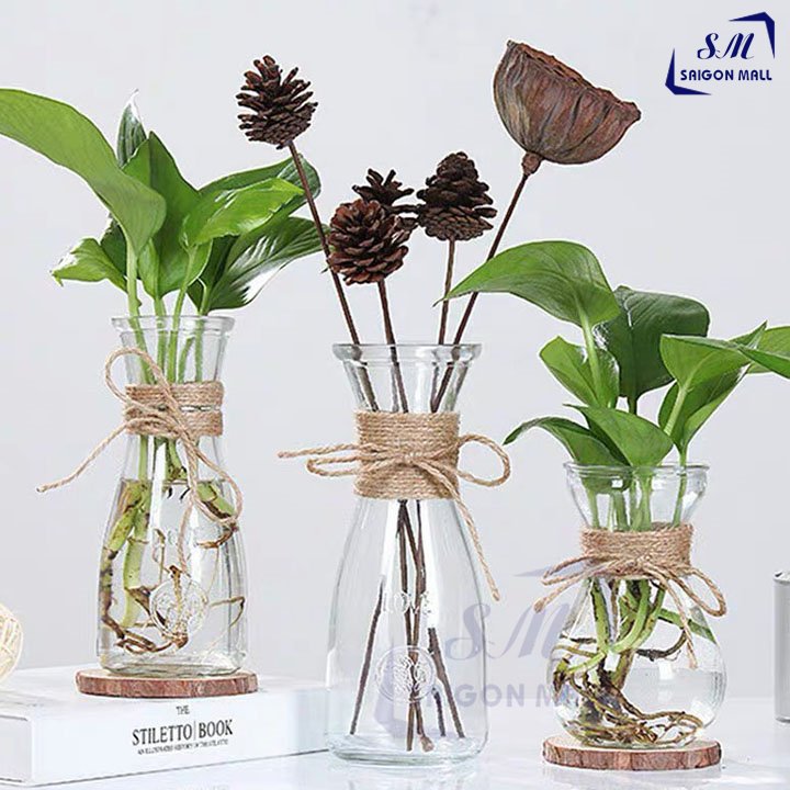 Bộ 3 lọ thủy tinh EO NHỎ - EO LỚN - LOE tặng kèm 3 dây dừa, dùng để cắm hoa tươi, hoa khô, hay trồng cây thủy canh, set 3 lọ hoa