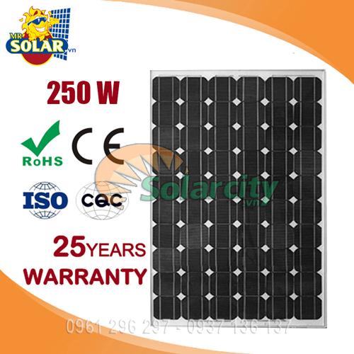 Pin Năng Lượng Mặt Trời Mono 230W SOLARCITY