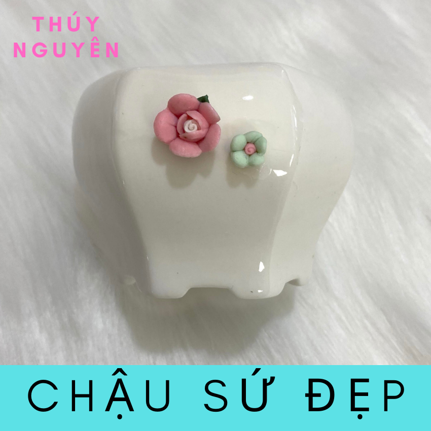 Chậu gốm sứ mini trồng sen đá