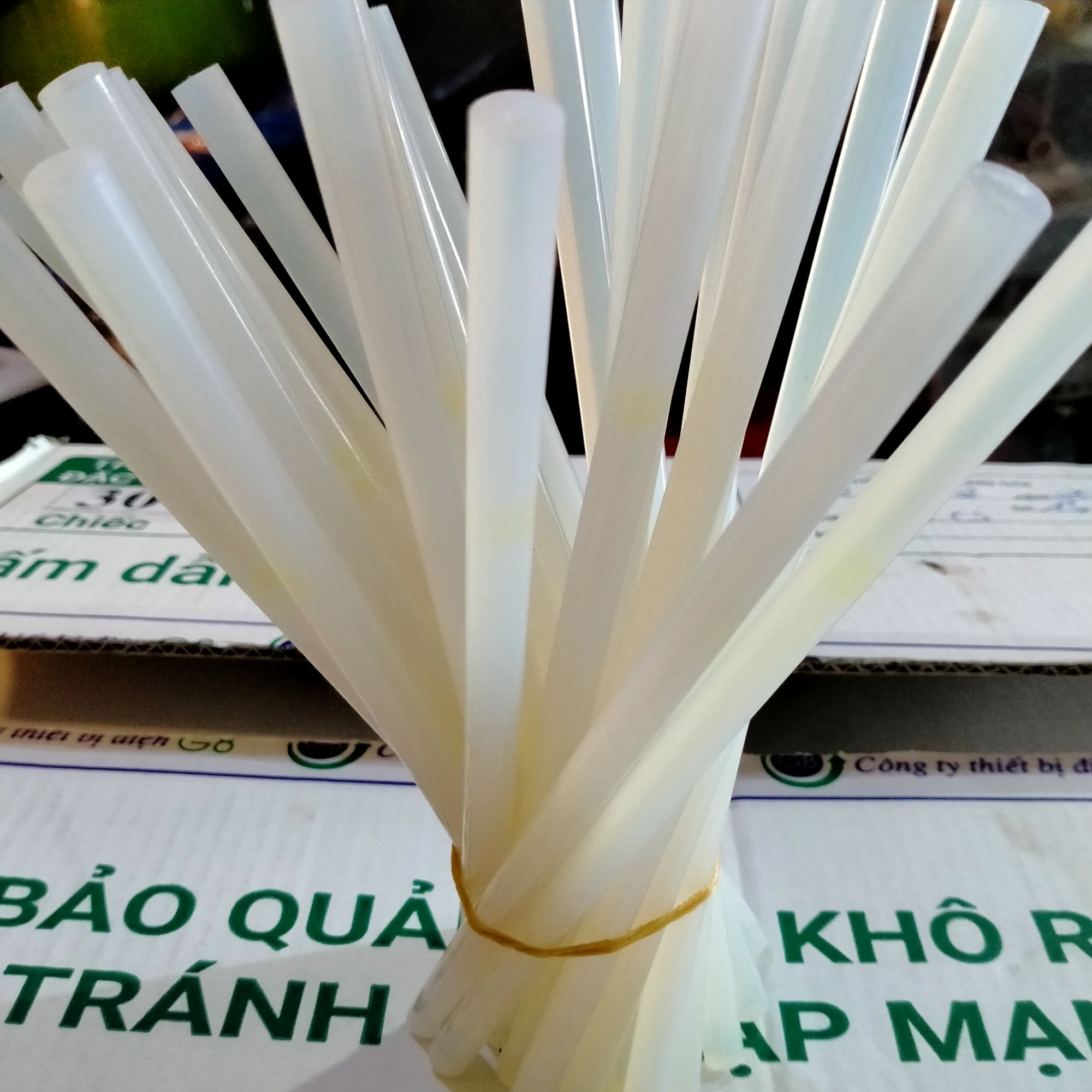 [HCM]5 cây keo nóng lớn