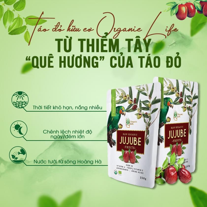 Táo Đỏ Hữu Cơ ORGANIC LIFE 500gr
