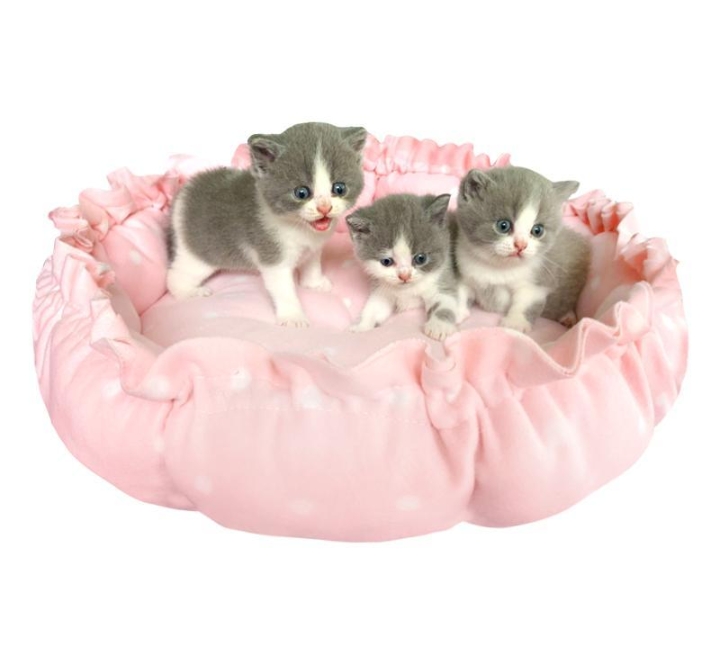 NỆM TRÒN DÂY RÚT ÊM ÁI SIZE LỚN CHO CHÓ MÈO