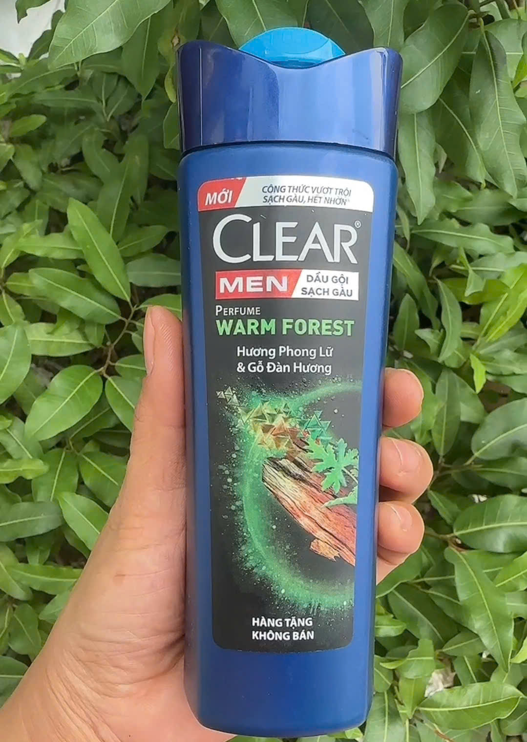 ( hàng khuyến mãi) Dầu gội Clear Men Phong Lữ 140g