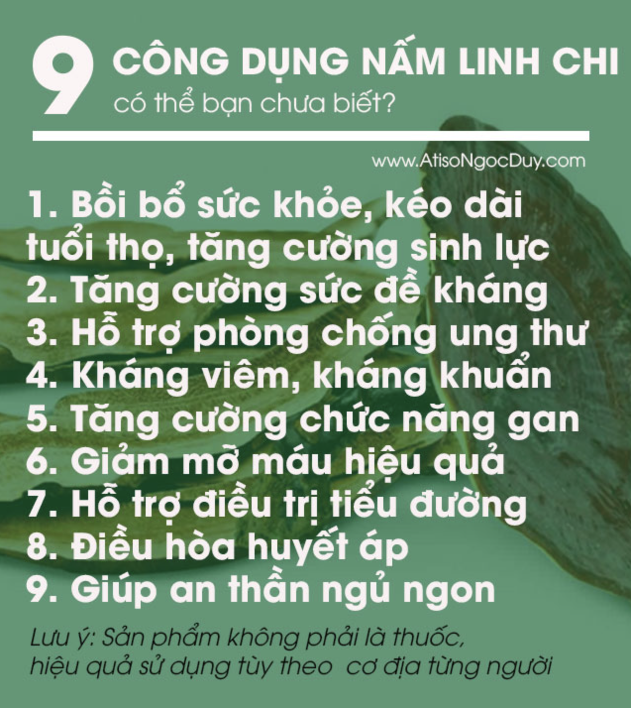 Nấm Linh Chi Đỏ Đà Lạt Thái Lát Sấy Khô (Gói 200g)